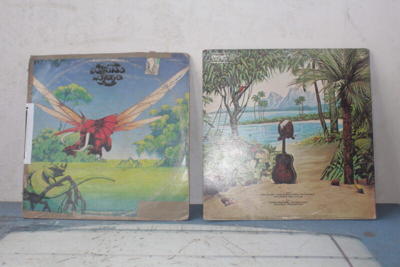 Vinyl R3