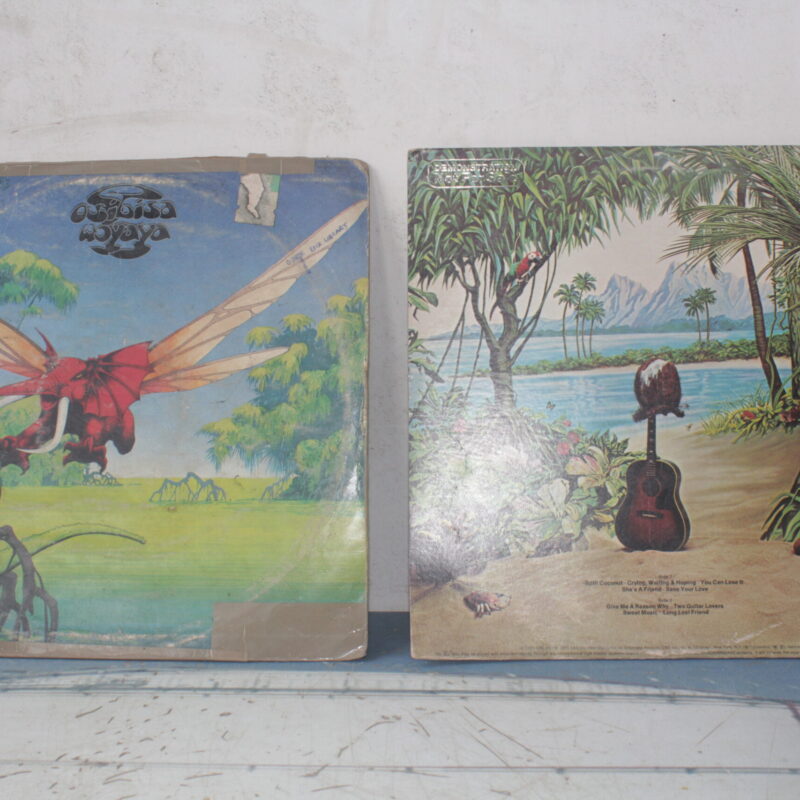 Vinyl R3